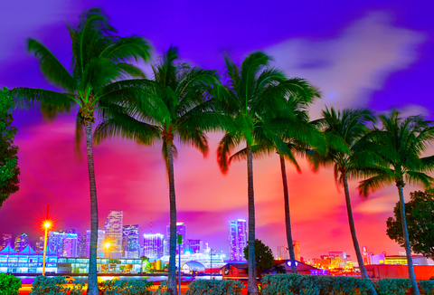Miami Bookings On Location FEB 2–10, 2024